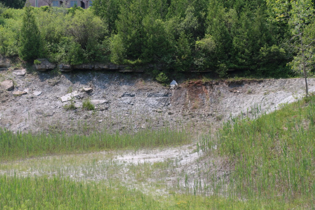 View of Hungry Hollow with grass in the foreground, rock cliffs in the background and trees on top of the cliff.