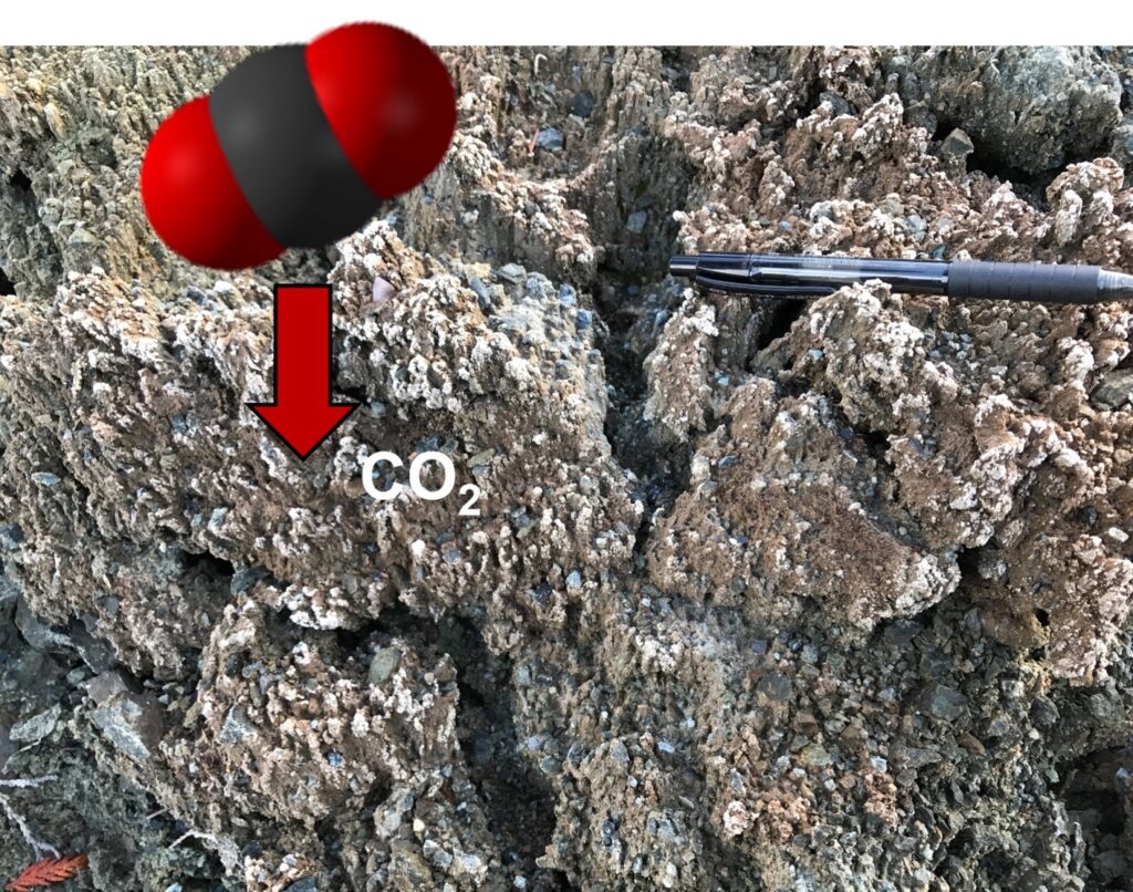 Grey rocks with a white carbonate overtop. Graphic of a CO2 molecule with an arrow pointing to the white carbonate. A pen lies on the rocks for size.