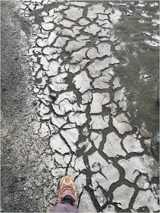 Grey rocks with cracked white carbonate overtop. In the bottom left corner someone's shoe can be seen standing on the rocks.