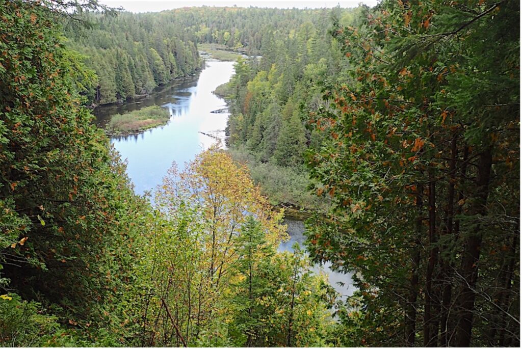Looking down over a river with mostly coniferous trees lining it. Some of the deciduous trees have orange leaves. 