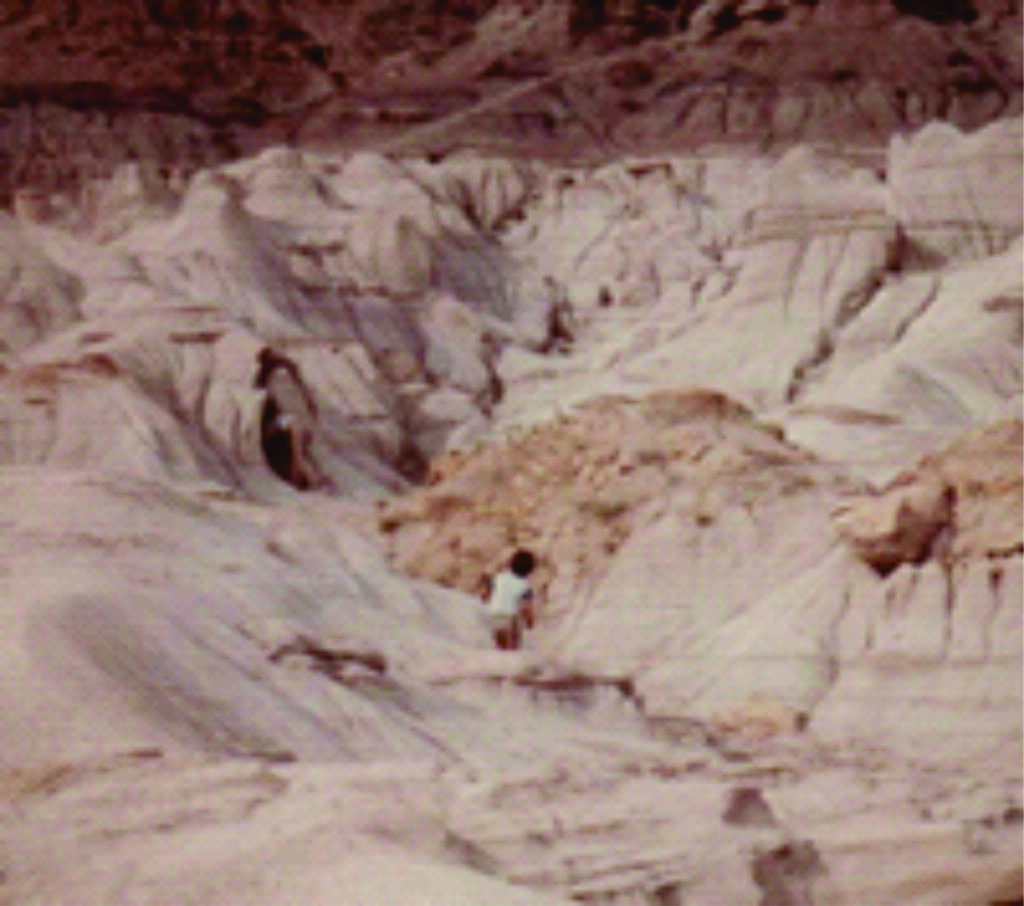 Cam looking for dinosaur fossils. Cam is pictured in the distance standing amongst large rocky hills.