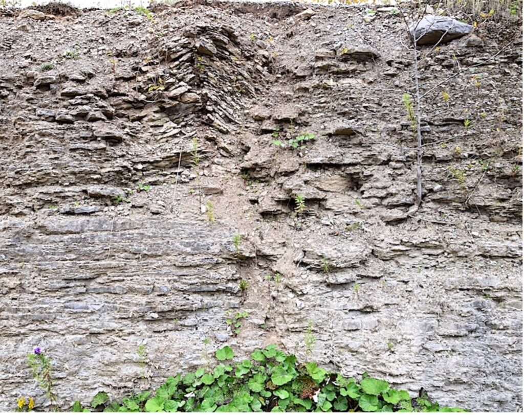 Limestone outcrop with a bit of foliage at the bottom. The rock is grey and beige with many jagged layers