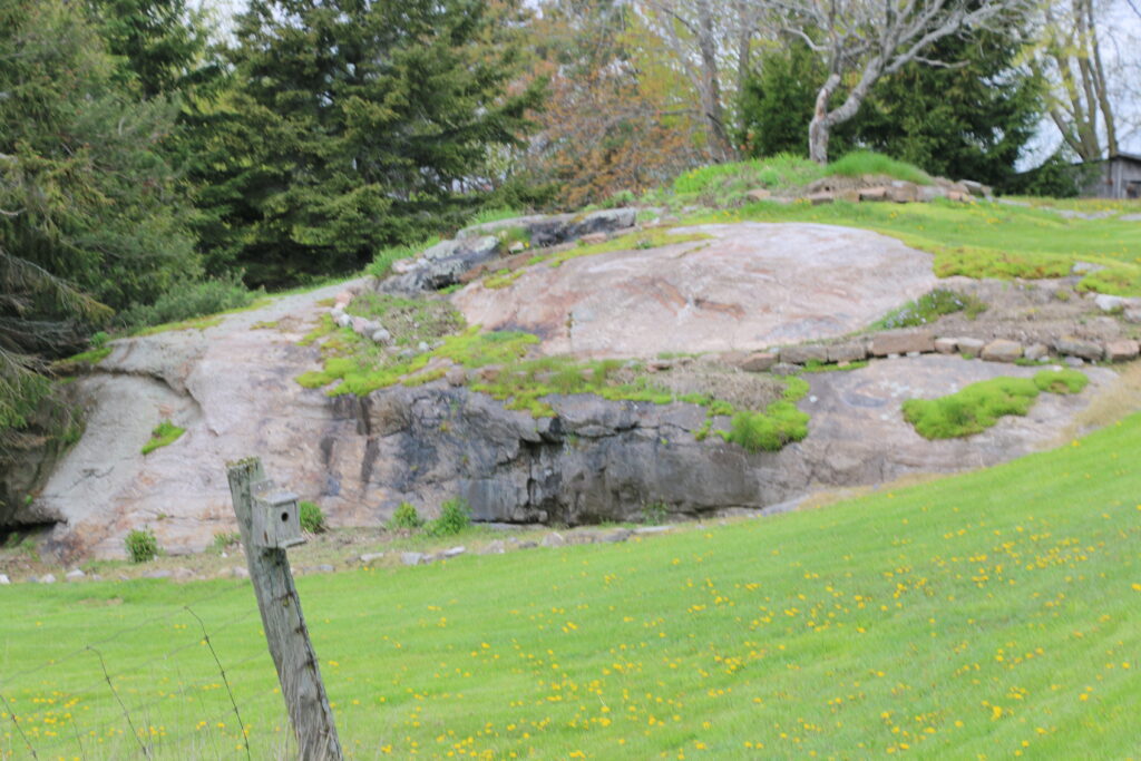 A rock outcrop in the distance rises above a green field. The rock is pink/ beige with some grasses growing in spots.