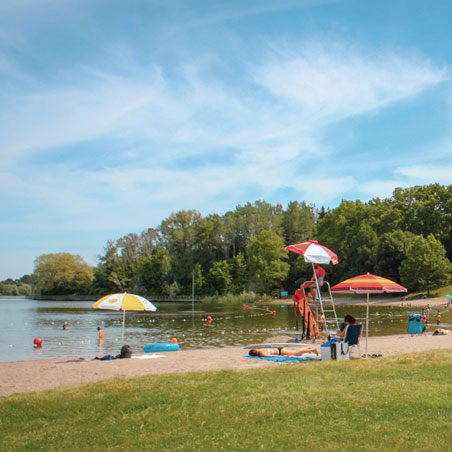 A sandy beach with three large beach umbrellas and a forest on the opposite shore