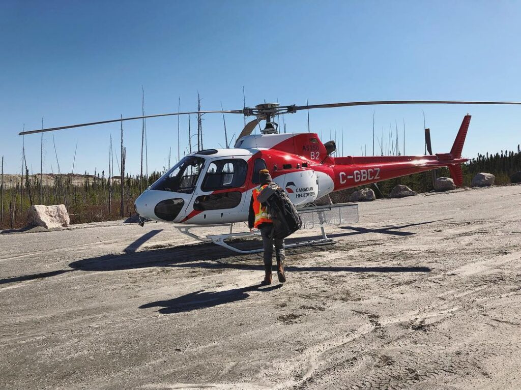 A helicopter sitting on the ground. A woman is walking towards the helicopter. There are dead trees in the background.