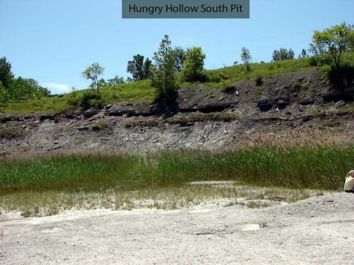 A landscape photo with white sand and tall grasses in the foreground, a brown cliff with distinct rock layers in the middle ground, and trees in the background. On the top of the photo text reads: "Hungry Hollow South Pit."