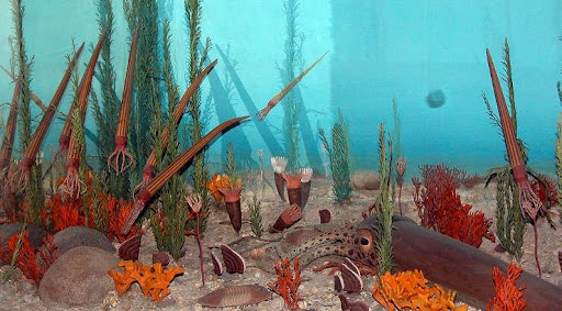 A model showing a potential underwater scene from the Ordovician time.