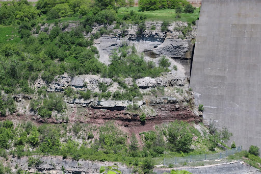 Outcrop in Niagara showing different layers of rocks amongst trees and bushes.