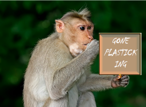 A monkey holds a sign reading "gone plasticking"