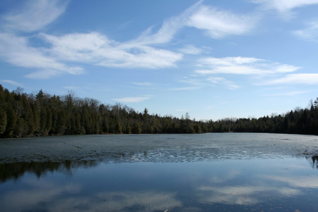 A lake reflecting the blue sky with trees on the opposite shore.