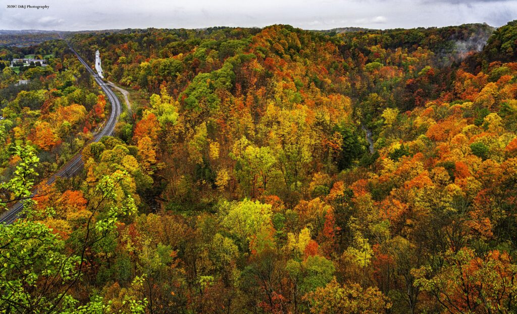 Lookout over a colourful forest