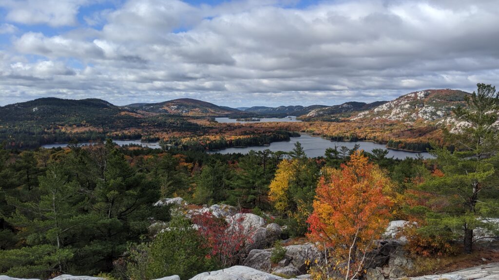 View overlooking a large forest with hills and a lake in the background. Some of the trees are orange and others are green.