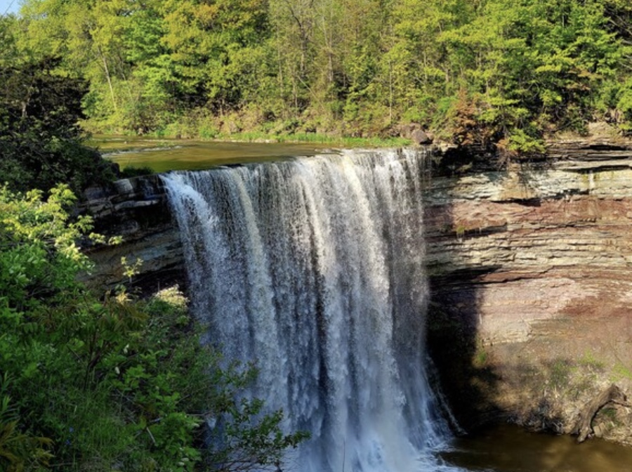 A stunning waterfall along the Bruce Trail, showcasing the region’s rich geological formations.