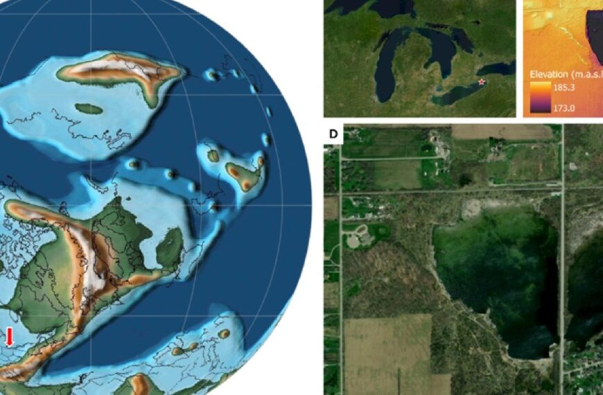 Map comparison showing Earth's paleogeography during the mid-Devonian period and present-day satellite view of the Wainfleet fossil site in Ontario.