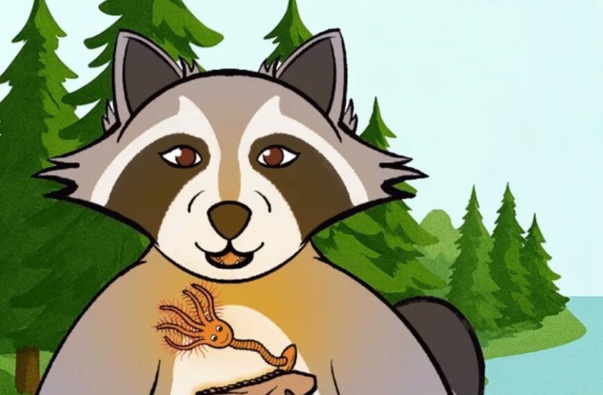 APGO EDUCATION FOUNDATION LAUNCHES FRENCH VERSION OF ROCKY THE RACCOON EXPLORES THE NIAGARA ESCARPMENT CHILDREN’S BOOK